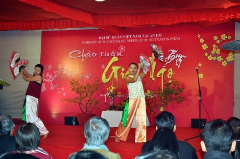 Đón Tết Cộng đồng 2014 tại Ấn Độ - ảnh 13